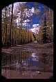 02400-00069-Colorado Scenes-Fall Color, Tin Cup Pass.jpg