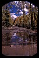 02400-00070-Colorado Scenes-Fall Color, Tin Cup Pass.jpg