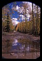 02400-00072-Colorado Scenes-Fall Color, Tin Cup Pass.jpg