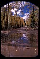 02400-00073-Colorado Scenes-Fall Color, Tin Cup Pass.jpg