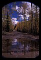 02400-00075-Colorado Scenes-Fall Color, Tin Cup Pass.jpg