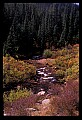 02400-00077-Colorado Scenes-Stream in Tin Cup Pass, Sawatch Range.jpg