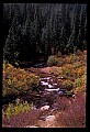 02400-00081-Colorado Scenes-Stream in Tin Cup Pass, Sawatch Range.jpg