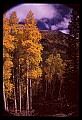 02400-00082-Colorado Scenes-Stream in Tin Cup Pass, Sawatch Range.jpg