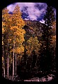 02400-00083-Colorado Scenes-Stream in Tin Cup Pass, Sawatch Range.jpg