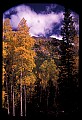 02400-00084-Colorado Scenes-Stream in Tin Cup Pass, Sawatch Range.jpg