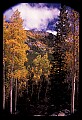 02400-00086-Colorado Scenes-Stream in Tin Cup Pass, Sawatch Range.jpg