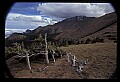 02400-00094-Colorado Scenes-Pikes Peak.jpg