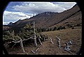02400-00095-Colorado Scenes-Pikes Peak.jpg