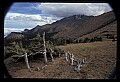02400-00097-Colorado Scenes-Pikes Peak.jpg