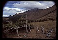 02400-00098-Colorado Scenes-Pikes Peak.jpg