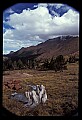 02400-00116-Colorado Scenes-Pikes Peak.jpg