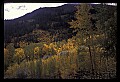 02400-00119-Colorado Scenes-Tin Cup Pass.jpg
