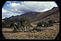 02400-00121-Colorado Scenes-Pikes Peak.jpg
