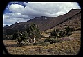 02400-00122-Colorado Scenes-Pikes Peak.jpg