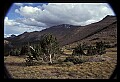 02400-00123-Colorado Scenes-Pikes Peak.jpg