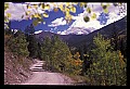 02400-00203-Colorado Scenes-Tin Cup Pass Road.jpg