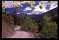 02400-00204-Colorado Scenes-Tin Cup Pass Road.jpg