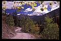 02400-00206-Colorado Scenes-Tin Cup Pass Road.jpg