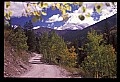 02400-00207-Colorado Scenes-Tin Cup Pass Road.jpg