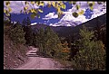 02400-00208-Colorado Scenes-Tin Cup Pass Road.jpg