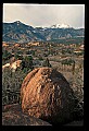 02400-00339-Colorado Scenes-Garden of the Gods-Pikes Peak.jpg