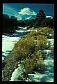 02400-00373-Colorado Scenes-Winter scene with Mount Princeton in Background.jpg