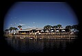 02500-00016-Florida Scenes.jpg