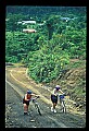 90000-00005 Malaysia-Mountain bikers in Mulu National Park.jpg