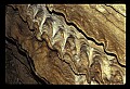 90000-00025 Malaysia-Stalactites at Wind Cave, Mulu National Park.jpg