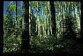 03250-00013-Michigan National Parks-Isle Royale National Park, MI.jpg