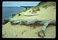 03250-00020-Michigan National Parks-Sleeping Bear Dunes National Lakeshore.jpg