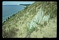 03250-00032-Michigan National Parks-Sleeping Bear Dunes National Lakeshore.jpg
