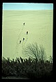 03250-00077-Michigan National Parks-Sleeping Bear Dunes National Lakeshore.jpg