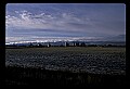 04400-00023-Montana Scenes.jpg