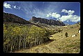 04400-00092-Montana Scenes.jpg