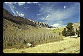 04400-00130-Montana Scenes.jpg