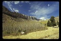 04400-00131-Montana Scenes.jpg