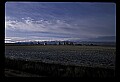 04400-00206-Montana Scenes.jpg