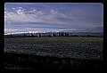 04400-00207-Montana Scenes.jpg