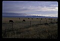 04400-00211-Montana Scenes.jpg