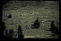 04400-00240-Montana Scenes.jpg
