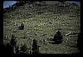 04400-00241-Montana Scenes.jpg