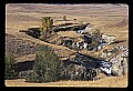 04400-00263-Montana Scenes.jpg