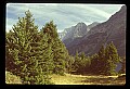 04450-00015-Montana National Parks.jpg