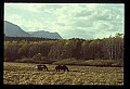 04450-00037-Montana National Parks.jpg