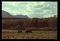 04450-00038-Montana National Parks.jpg