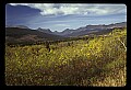 04450-00062-Montana National Parks.jpg