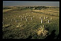 04450-00071-Montana National Parks.jpg