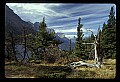 04450-00103-Montana National Parks.jpg